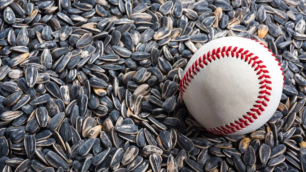 baseball with sunflower seeds